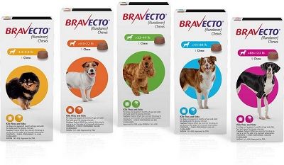 BRAVECTO TICK FLEA LARGE ADULT PUPPY 20-40KG CHEW